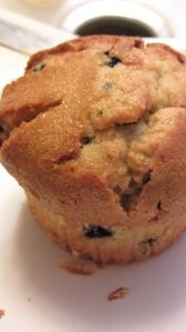 Blueberry_Muffin