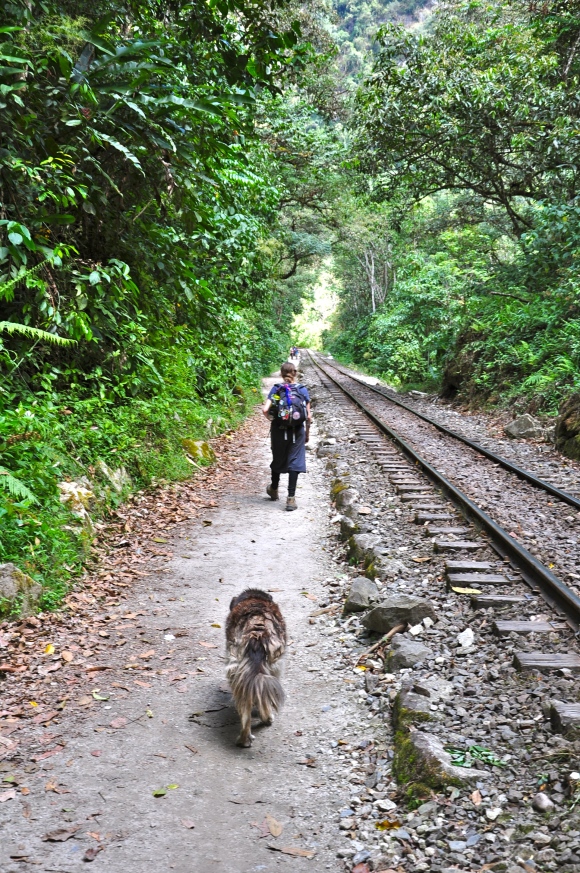 woman and dog walking railroad tracks