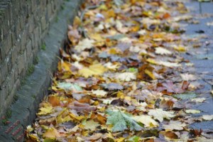 Sunday Photo Fiction prompt