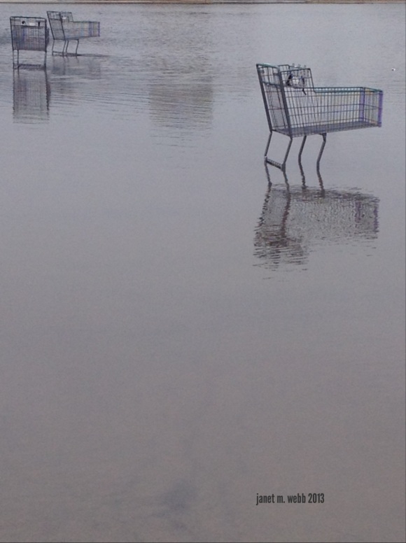 shopping cart in a parking lot lake