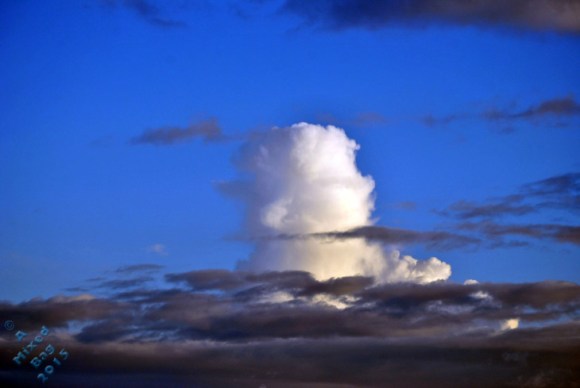 182-11-november-20th-2016