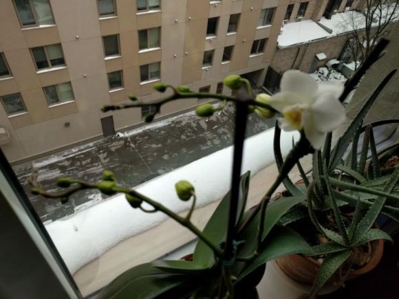 Photo Prompt © Roger Bultot